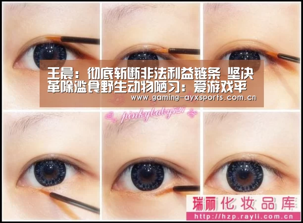 王晨:彻底斩断非法利益链条 坚决革除滥食野生动物陋习:爱游戏平台(图4) 爱游戏体育直播