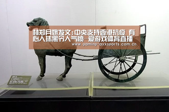 林郑月娥发文:中央支持香港抗疫 有心人抹黑令人气愤-爱游戏体育直播(图4) 爱游戏平台