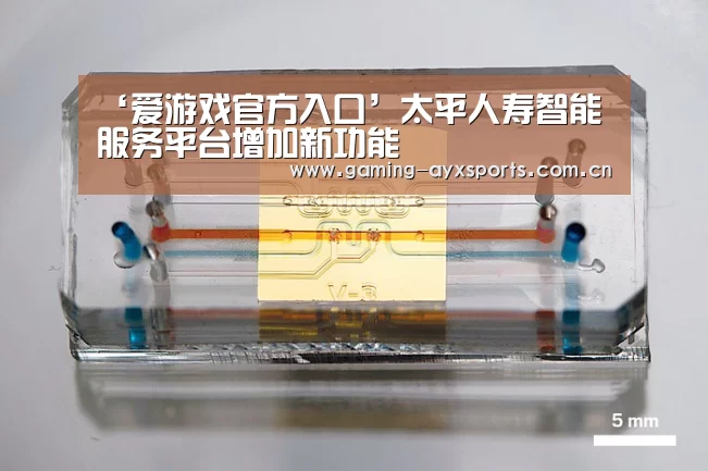 ‘爱游戏官方入口’太平人寿智能服务平台增加新功能(图1) 足球即时比分