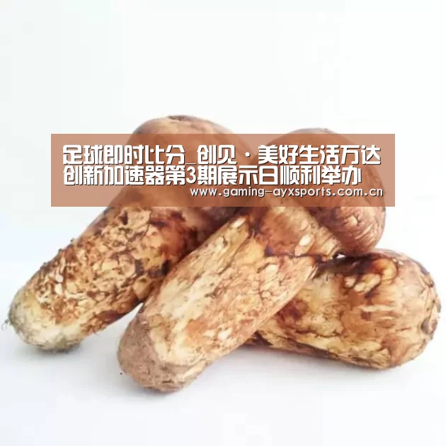 足球即时比分_创见·美好生活万达创新加速器第3期展示日顺利举办(图1) 足球即时比分