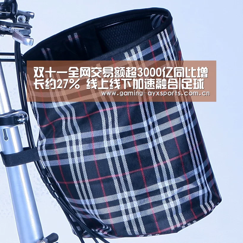 双十一全网交易额超3000亿同比增长约27% 线上线下加速融合|足球即时比分(图3) 爱游戏平台